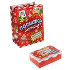Пакет подарочный с двойным дном «Посылка», 22 × 30 см - Фото 1