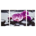 Картина модульная на стекле "Орхидеи"  2-25*50, 1-50*50 см,    100*50см - Фото 1