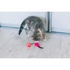 Шар-погремушка с хвостиком, микс цветов - Фото 6