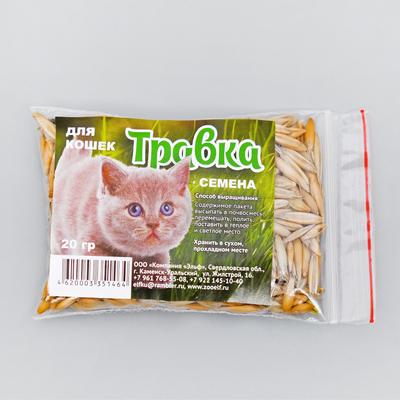 Семена "Травка для проращивания", пакет, 20 г