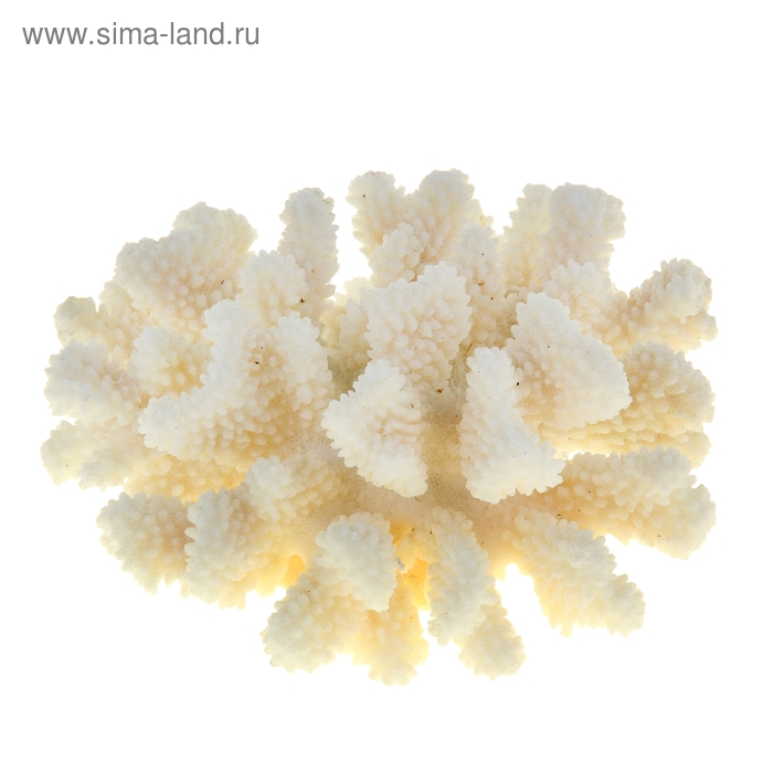 Коралл пальчиковый среднего рамера для оформ. аквариумов,UDeco Finger Coral M  1 шт. - Фото 1