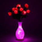 Светодиодная ваза 64х16 см, "Розы" 10 LED, от USB и 220V, фиксин, ФИОЛЕТ - Фото 1