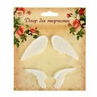 Декор для творчества полистоун (набор 4 предмета) "Крылья" 15х13 см - Фото 1