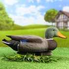 Фигура подсадная "Кряква", селезень 43*16*18 см - Фото 1