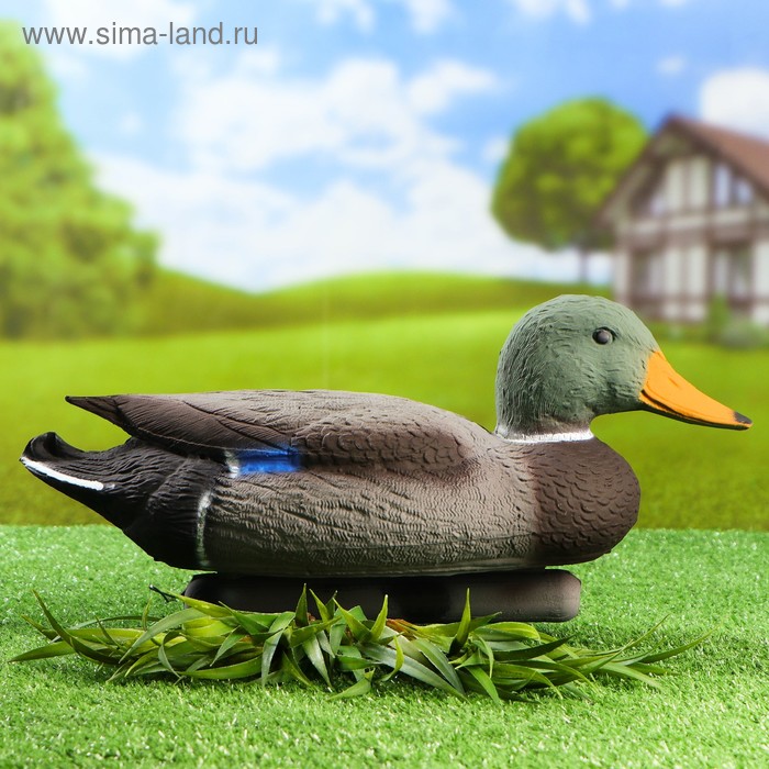 Фигура подсадная "Кряква", селезень 43*16*18 см - Фото 1