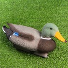 Фигура подсадная "Кряква", селезень 43*16*18 см - Фото 2