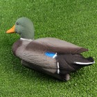 Фигура подсадная "Кряква", селезень 43*16*18 см - Фото 3