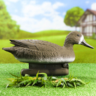 Фигура подсадная "Шилохвость" утка 40*15*18 см - Фото 1