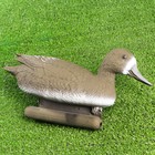 Фигура подсадная "Шилохвость" утка 40*15*18 см - Фото 2