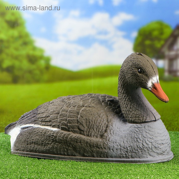 Фигура подсадная "Гусь белолобый отдыхающий" 58 х 35 х 17 см - Фото 1
