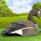 Фигура подсадная "Гусь белолобый отдыхающий" 58 х 35 х 17 см - Фото 3