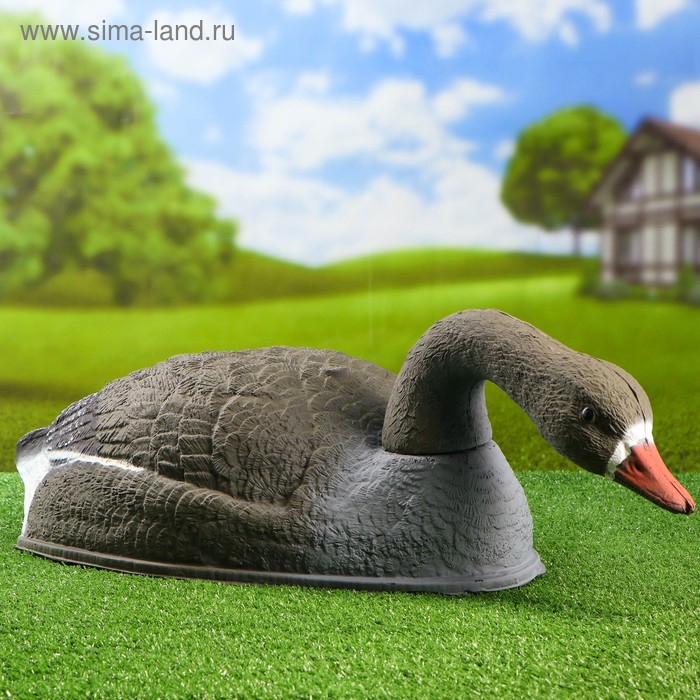 Фигура подсадная "Гусь белолобый кормящийся" 58 х 35 х 17 см - Фото 1