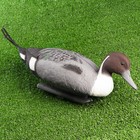 Фигура подсадная "Шилохвость" селезень 40*14*20 см - Фото 2