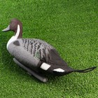 Фигура подсадная "Шилохвость" селезень 40*14*20 см - Фото 3