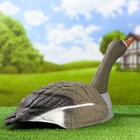 Фигура подсадная "Гусь белолобый курлыкающий" 58*35*17 см - Фото 3