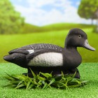 Фигура подсадная "Чернеть-хохлатая" селезень, 36 х 14 х 20 см - Фото 1