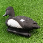 Фигура подсадная "Чернеть-хохлатая" селезень, 36 х 14 х 20 см - Фото 3