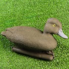 Фигура подсадная "Чернеть-хохлатая" утка 35*15*19 см - Фото 2