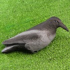 Фигура подсадная "Ворона серая" 40*11*11 см - Фото 2