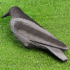 Фигура подсадная "Ворона серая" 40*11*11 см - Фото 3