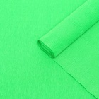 Бумага для упаковок и поделок, гофрированная, зеленая, однотонная, двусторонняя, рулон 1 шт., 0,5 х 2,5 м - фото 5867906