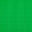 Бумага для упаковок и поделок, гофрированная, зеленая, однотонная, двусторонняя, рулон 1 шт., 0,5 х 2,5 м - Фото 6