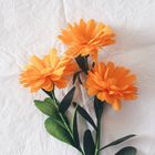 Бумага для декора и флористики, Cartotecnica Rossi, гофрированная, "Неоновая", оранжевая, двусторонняя, однотонная, рулон 1шт., 0,5 х 2,5 м - Фото 3
