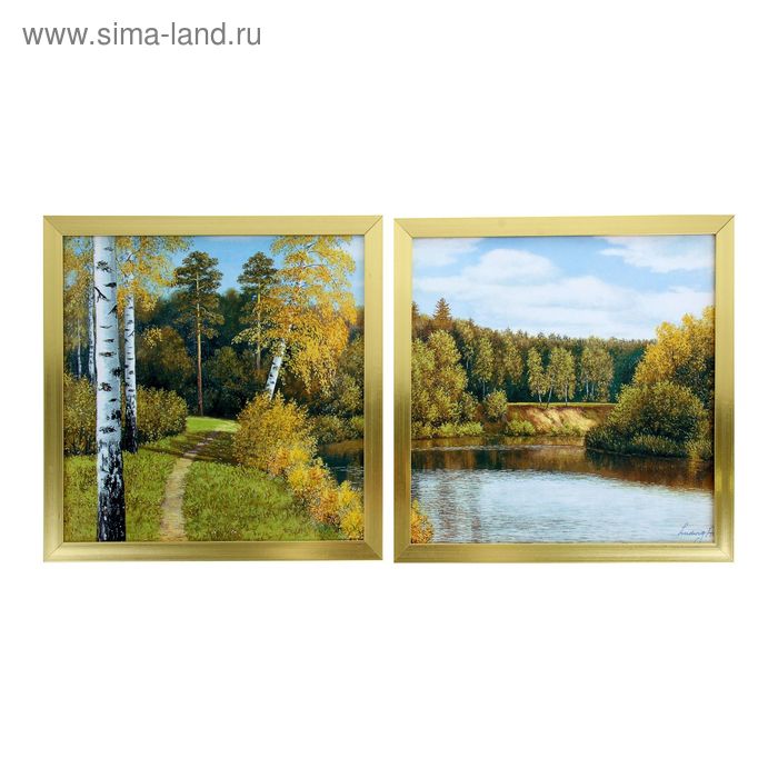 Картина модульная "Прогулка на природе" 2шт-36х36см; 72х36см рамка МИКС - Фото 1