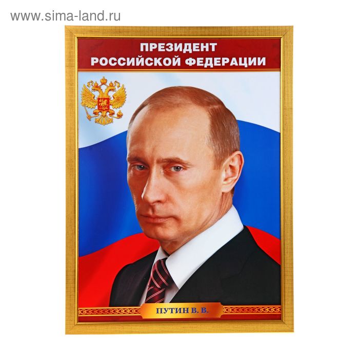 РК-005 Портрет В.В. Путина 40х60 на холсте в раме - купить по выгодной цене на Я
