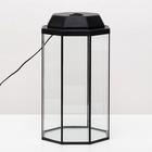 Аквариум «Восьмигранный» с крышкой, 24 литра, 25×25×45/50 см, чёрный - Фото 7