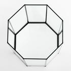 Аквариум «Восьмигранный» с крышкой, 24 литра, 25×25×45/50 см, чёрный - Фото 3