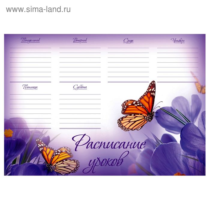 Расписание уроков А4 "Бабочки" - Фото 1