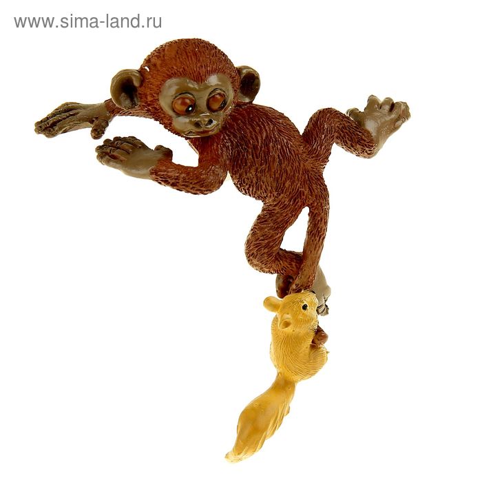 Сувенир - миниатюра полистоун "Обезьянка с белочкой" 11,5х10,5х5,5 см - Фото 1