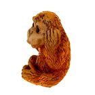 Сувенир полистоун "Мартышка не вижу/не слышу/ничего не скажу" МИКС, 3,8х3,2х3,2 см - Фото 3