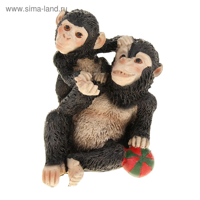 Сувенир полистоун "Шимпанзе с мячом" МИКС, 10,5х10,3х9,4 см - Фото 1