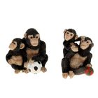 Сувенир полистоун "Шимпанзе с мячом" МИКС, 10,5х10,3х9,4 см - Фото 5
