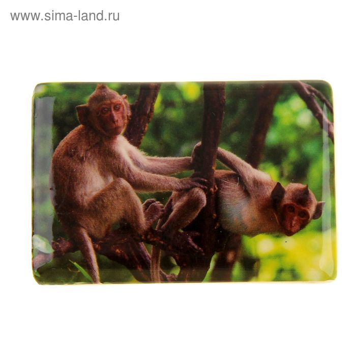 Магнит керамика "Озорные обезьянки" 7,5х5 см - Фото 1