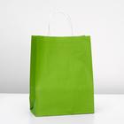 Пакет крафт «Радуга» травяной, 25×11×32 см - Фото 1