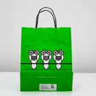 Пакет крафт "Совы" зеленый, 25 х 10 х 32 см - Фото 2