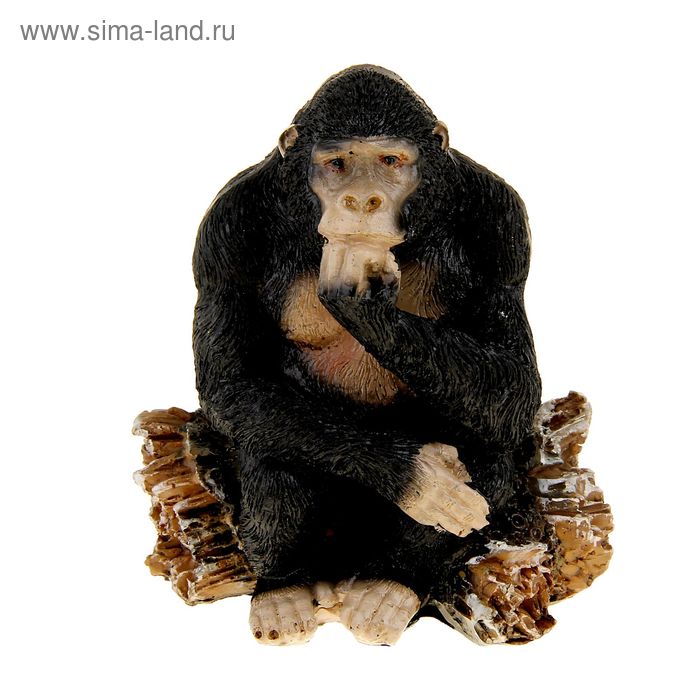 Сувенир полистоун "Шимпанзе на бревне" МИКС, 8,8х8х5,1 см - Фото 1