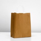 Пакет крафт "Радуга" капучино, 25 х 11 х 32 см - Фото 1