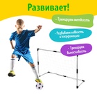 Ворота футбольные «Весёлый футбол», сетка, мяч d=14 см, размер ворот 98×34×64 см, МИКС - Фото 5