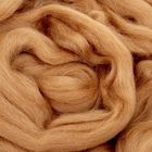 Шерсть для валяния 100% полутонкая шерсть 100гр (0606, темно-бежевый) - Фото 1