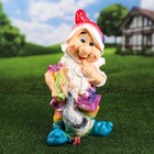 Садовая фигура "Гном с гусем", разноцветная, гипс, 48 см, микс - Фото 6