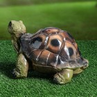 Садовая фигура "Черепаха Джулс", зелёный цвет, гипс, 16 см - Фото 3