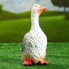 Садовая фигура "Гусь", серый цвет, гипс, 29 см - Фото 2