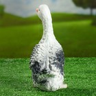 Садовая фигура "Гусь", серый цвет, гипс, 29 см - Фото 3