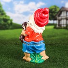 Садовая фигура "Гном с собакой", разноцветная, гипс, 46 см, микс - Фото 3