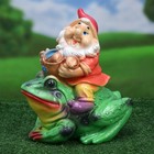 Садовая фигура "Гном с лягушкой", разноцветная, гипс, 26х18х29 см, микс - Фото 5