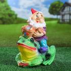 Садовая фигура "Гном с лягушкой", разноцветная, гипс, 26х18х29 см, микс - Фото 6